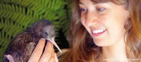 Kiwi Birdlife Park Queenstown Ticket | New Zealand