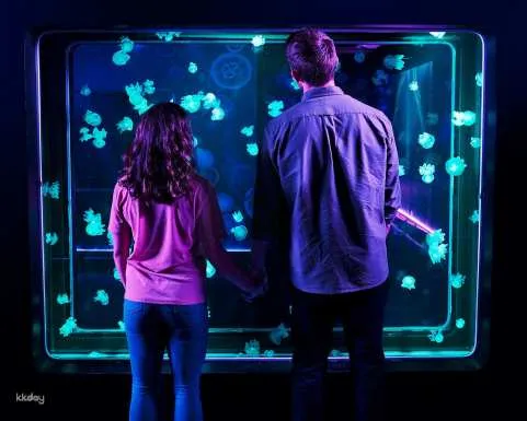 SEA LIFE Aquarium New Jersey Ticket