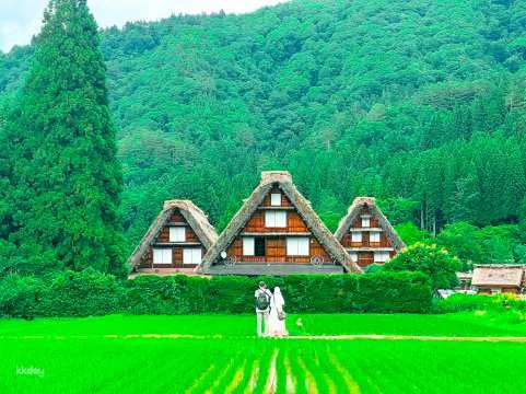 Central Japan Day Tour from Nagoya: Gassho Village in Shirakawa-go & Hida Takayama Old Town