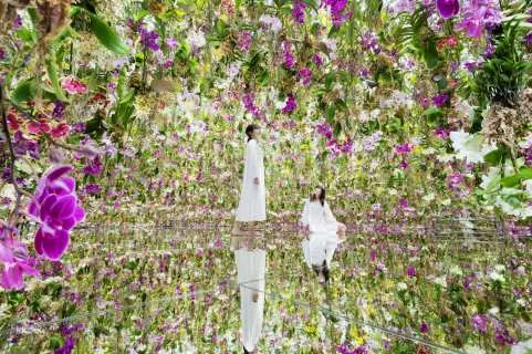 Tokyo TeamLab Planets Ticket