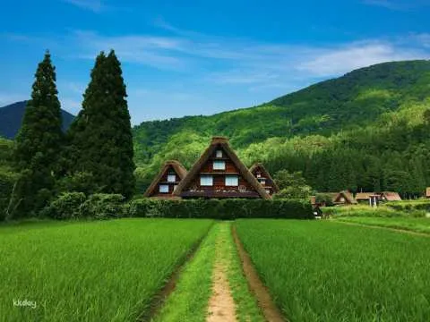 One-Day Bus Tour from Nagoya: Hida Takayama & Shirakawa-go World Heritage Walking Tour in Aichi / Gifu | Japan