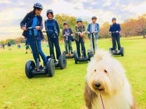 【Exclusive Lunar New Year Offer: 20% Off in Greater China!】Tokyo Showa Memorial Park Segway Tour | Japan