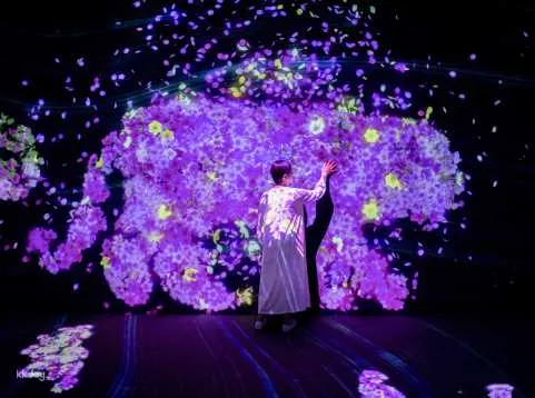 TeamLab Forest Fukuoka Ticket–SBI Securities with Instant Confirmation | Japan