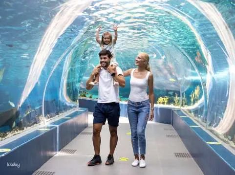 Cebu Ocean Park Admission Ticket | Philippines