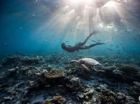 Blue Lagoon Snorkeling with Lunch & Atv Quad Bike Adventures Tour | Bali