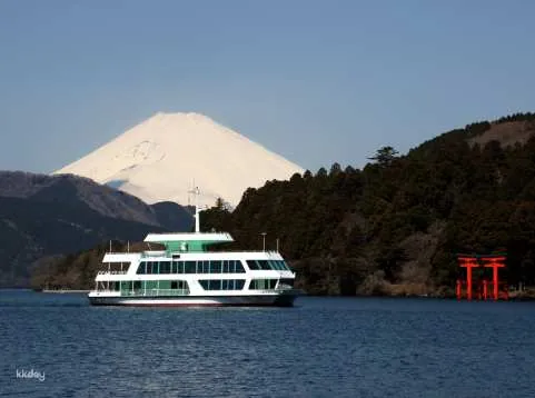 Sightseeing by Taxi: Izu, Hakone or Atami | Japan