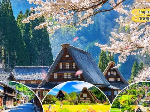 Shirakawa Day Tour from Nagoya: Hida Takayama, UNESCO World Heritage Township Gassho Village & Shiroyama Tenshukaku Observation Deck (Hotel Transfer Optional)