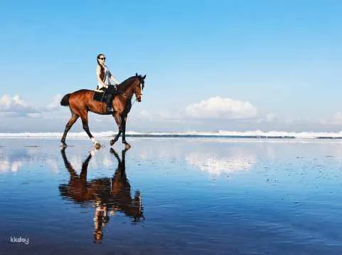 Beach Horse Riding Experience in Bali | Indonesia