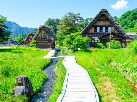 Enjoyable One-day Bus Tour | Travel through History & Tradition | 3 Historic Cities: Gujo Hachiman, Hida Takayama, Shirakawa-go | Depart from Nagoya