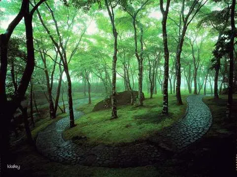Hakone Museum of Art: Admission Ticket Reservation | Kanagawa, Japan