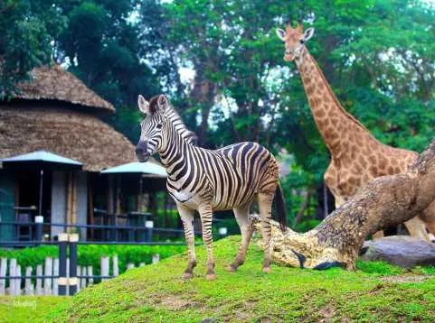 Hua-Hin: Safari & Adventure Park Admission Ticket | Thailand