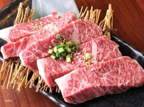 Japanese BBQ Yakiniku Ponga Enoshima branch in Kanagawa｜Online reservation