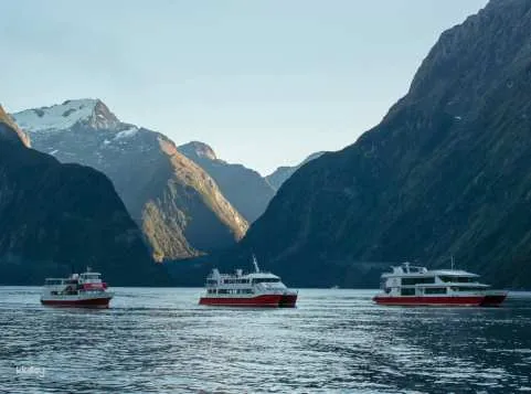 [Milford Sound Departure] Milford Sound Nature Cruise | New Zealand