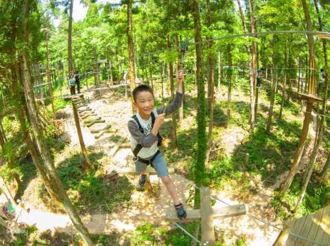 Zip line 15m above the trees! Activity experience at Hiroshima Prefectural Mominoki Forest Park [Forest Adventure Hiroshima]