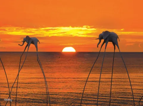Phu Quoc Island Sunset Cruise And Squid Fishing Experience